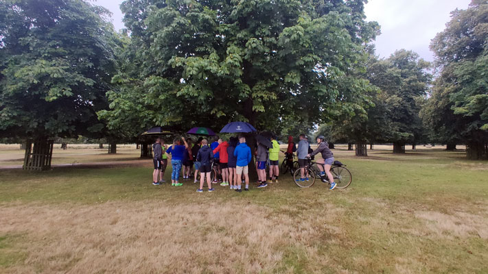 Runners in Bushy Park sheltering under a tree.
