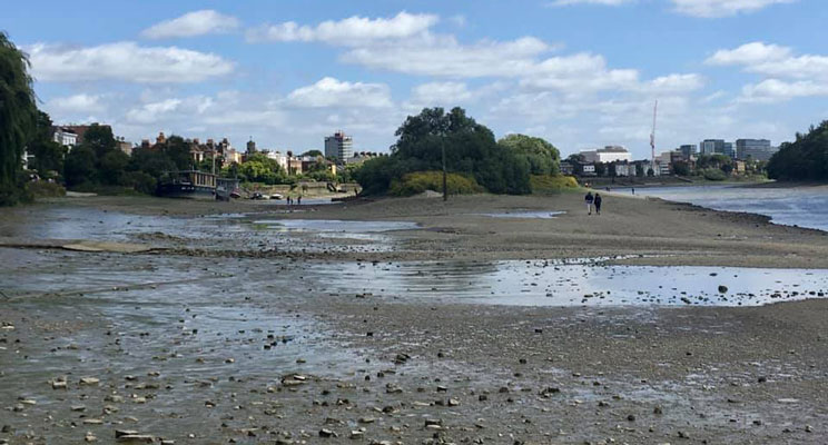 Thames Chiswick Eyot at low tide